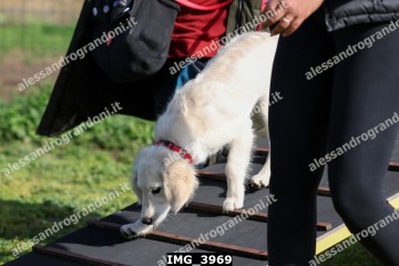 IMG_3969.jpg