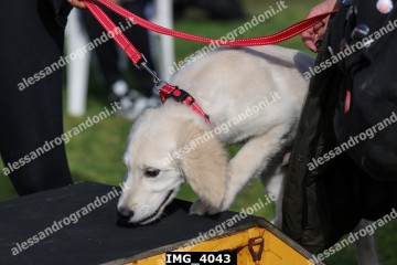 IMG_4043.jpg