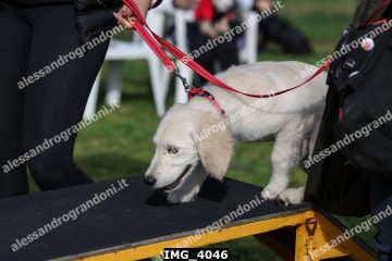 IMG_4046.jpg