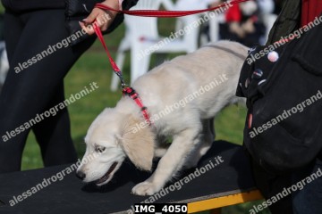 IMG_4050.jpg