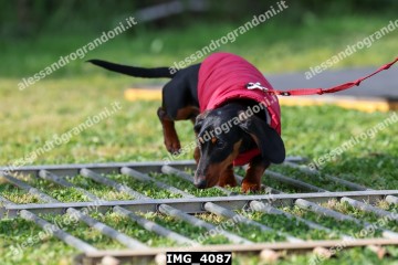 IMG_4087.jpg
