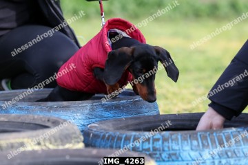 IMG_4263.jpg