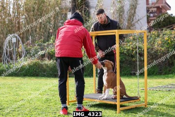 IMG_4323.jpg