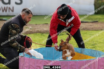 IMG_4369.jpg