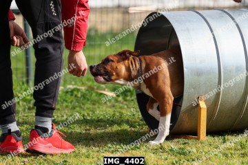 IMG_4402.jpg