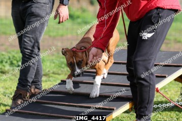IMG_4417.jpg