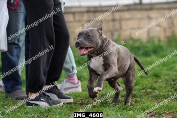 IMG_4608.jpg