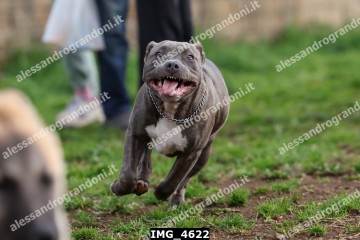 IMG_4622.jpg