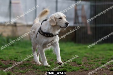 IMG_4743.jpg