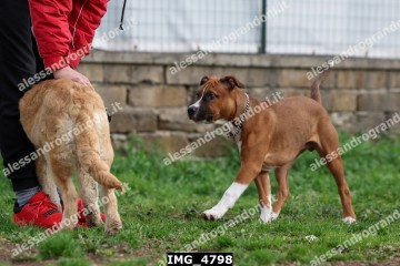 IMG_4798.jpg
