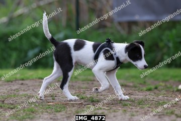 IMG_4872.jpg
