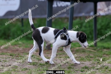 IMG_4885.jpg