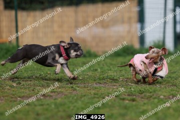IMG_4926.jpg