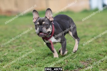 IMG_4979.jpg