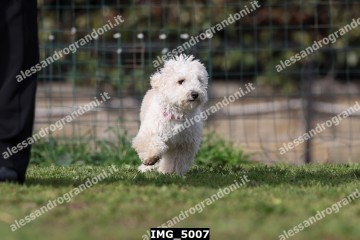 IMG_5007.jpg