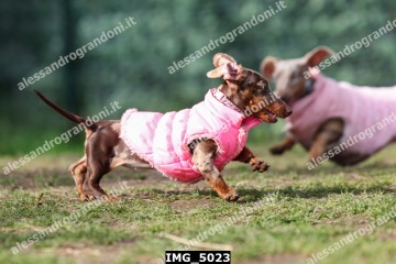 IMG_5023.jpg
