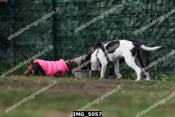 IMG_5057.jpg