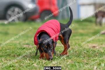 IMG_5069.jpg