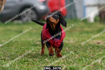 IMG_5078.jpg