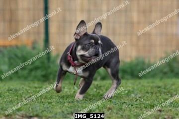 IMG_5124.jpg