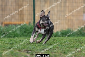 IMG_5126.jpg