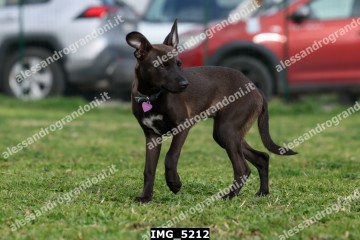 IMG_5212.jpg