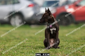 IMG_5228.jpg