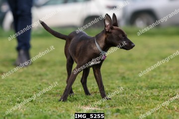 IMG_5255.jpg
