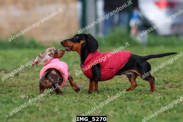 IMG_5270.jpg
