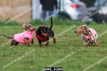 IMG_5285.jpg