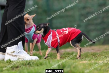 IMG_5322.jpg