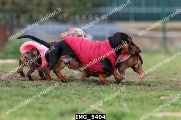 IMG_5404.jpg