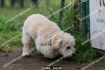 IMG_5419.jpg