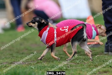 IMG_5470.jpg
