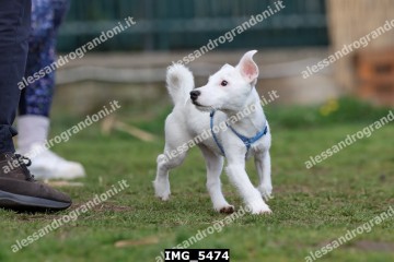 IMG_5474.jpg