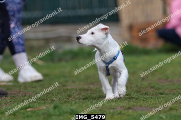 IMG_5479.jpg
