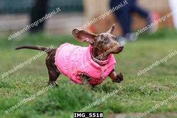 IMG_5518.jpg