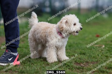 IMG_5569.jpg