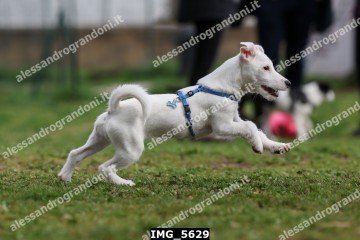 IMG_5629.jpg
