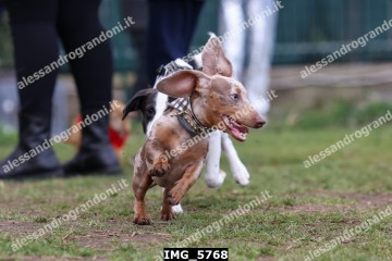 IMG_5768.jpg