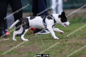 IMG_5792.jpg