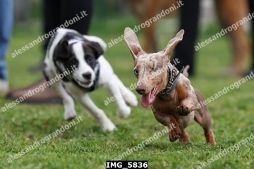 IMG_5836.jpg