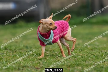 IMG_5901.jpg