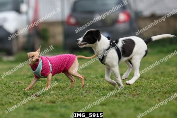 IMG_5915.jpg