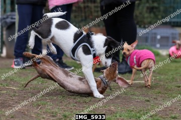 IMG_5933.jpg