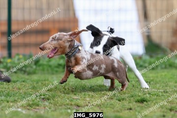 IMG_5976.jpg