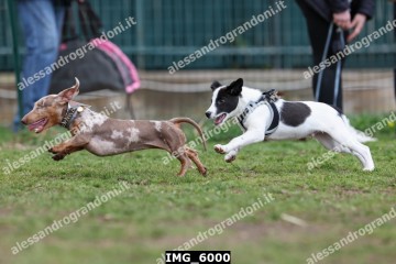 IMG_6000.jpg