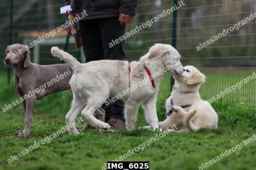 IMG_6025.jpg