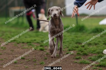 IMG_6049.jpg