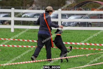 IMG_0039.jpg